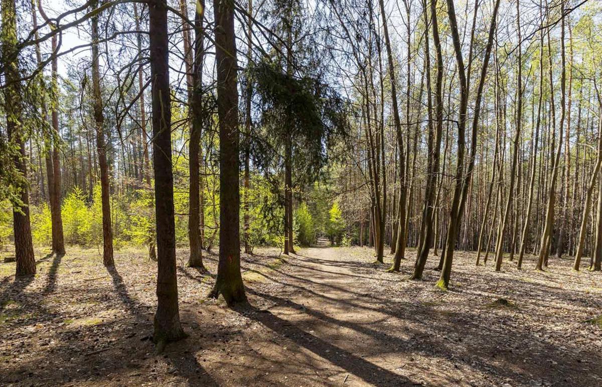 Laskara Garden Apartment By Prague Forest Nové Jirny Εξωτερικό φωτογραφία